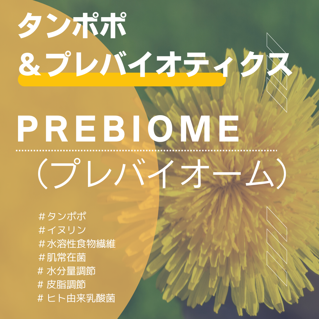 春の花！タンポポ　/　 Prebiome（プレバイオーム）