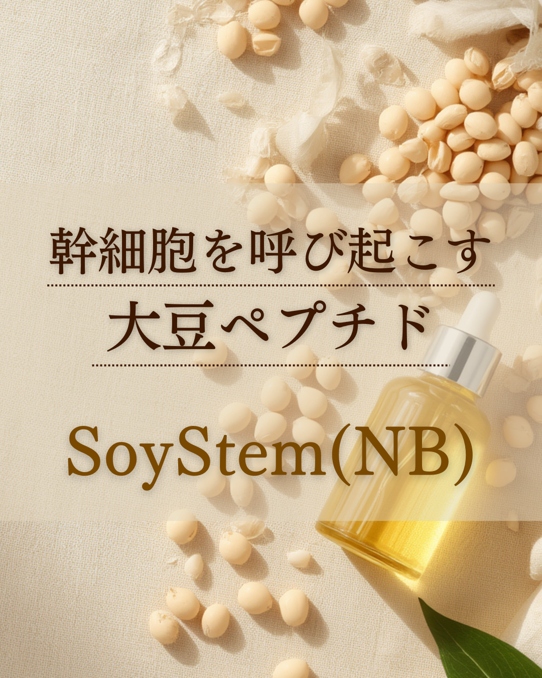 『幹細胞を呼び起こす大豆ペプチド』SoyStem(NB)